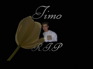 Timo r.i.p 1